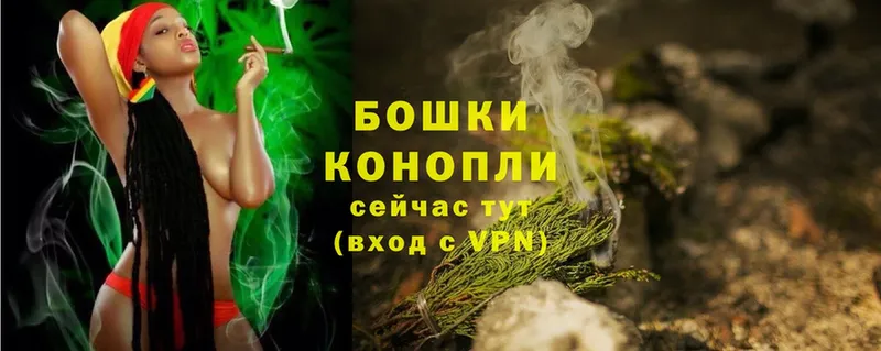 Бошки марихуана SATIVA & INDICA  ссылка на мегу зеркало  Нестеров 